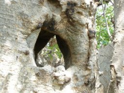 282463_10150265621589901_3994508_n